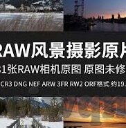 91麻豆在线观看-91麻豆在线，数字与网络世界的新融合