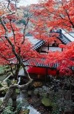 av日韩一二三区-探索日韩AV文化，一二三区的多元视角