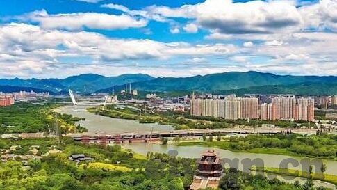大象传媒污-象牙之谜，大象与传媒的交织画卷