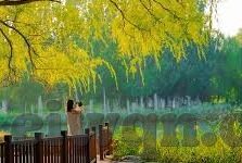 麻豆传媒合作app-重塑数字娱乐新生态——麻豆传媒合作APP的深度评析