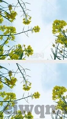麻豆传媒!-麻豆传媒的多元化视野及其影响解析，从文化现象到数字转型的深度洞察