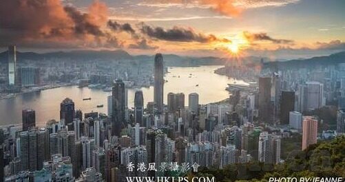 麻豆福利视频-麻豆福利视频，社交媒体下的文化现象与反思