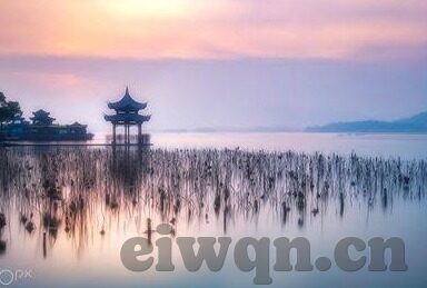 潘甜甜果冻传媒-潘甜甜果冻传媒，新媒体时代下的创意与挑战